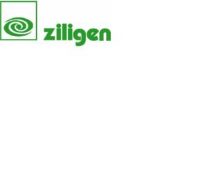 ziligen düz kayışlar