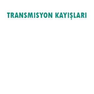 Ziligen Siegling Düz Kayış Çeşitleri | Düz Tahrik Kayışları